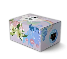 The original Dreampop package