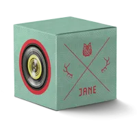 The original Jane package