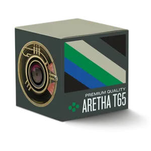 The original Aretha T65 package