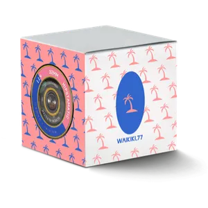 The original Waikiki 77 package