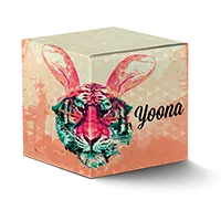 The original Yoona package