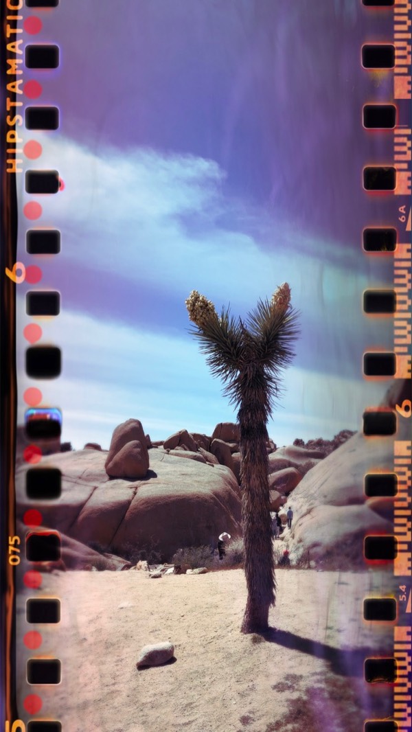 Sample from the Sprocket camera