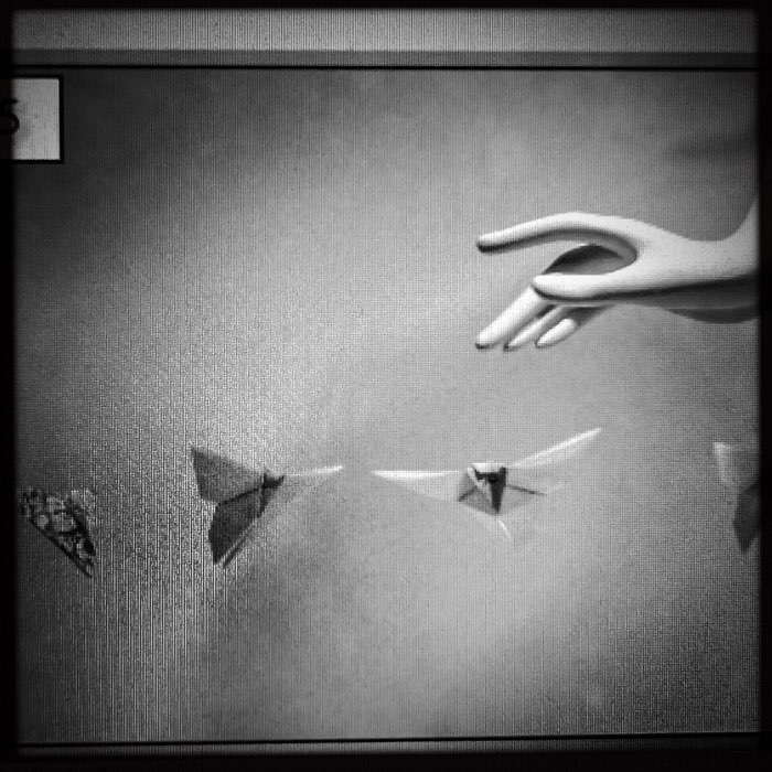 Photograph by @KatherineKat, shot with John S + BlacKeys Supergrain