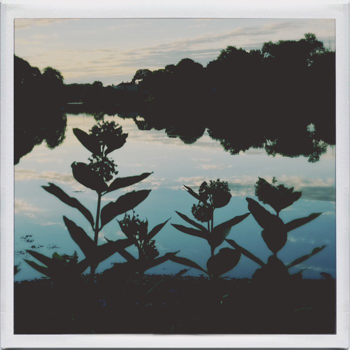Photograph by @Julee, shot with Emilio + Abbot K20