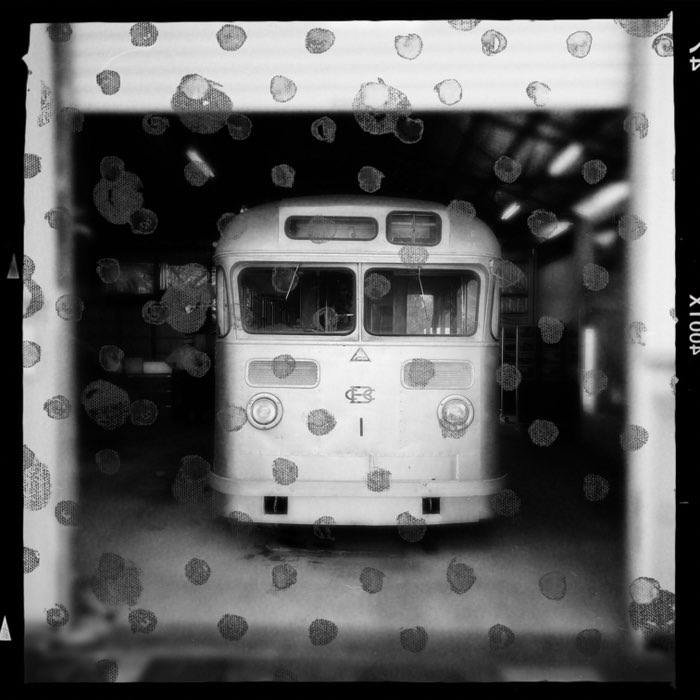 Photograph by @thewhitedove, shot with Tinto 1884 + Bexar 23 + AO DLX