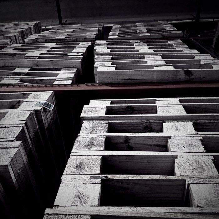 Photograph by @Swedish, shot with Stephen F76 + Butler 1814