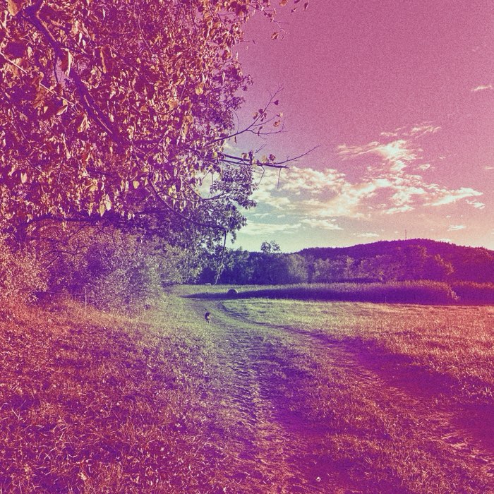Photograph by @Alyson, shot with Mark + Four Minarets + Berry Pop
