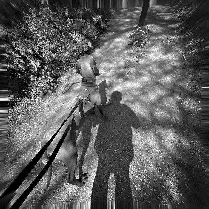 Photograph by @aviva, shot with Penny + Aristotle