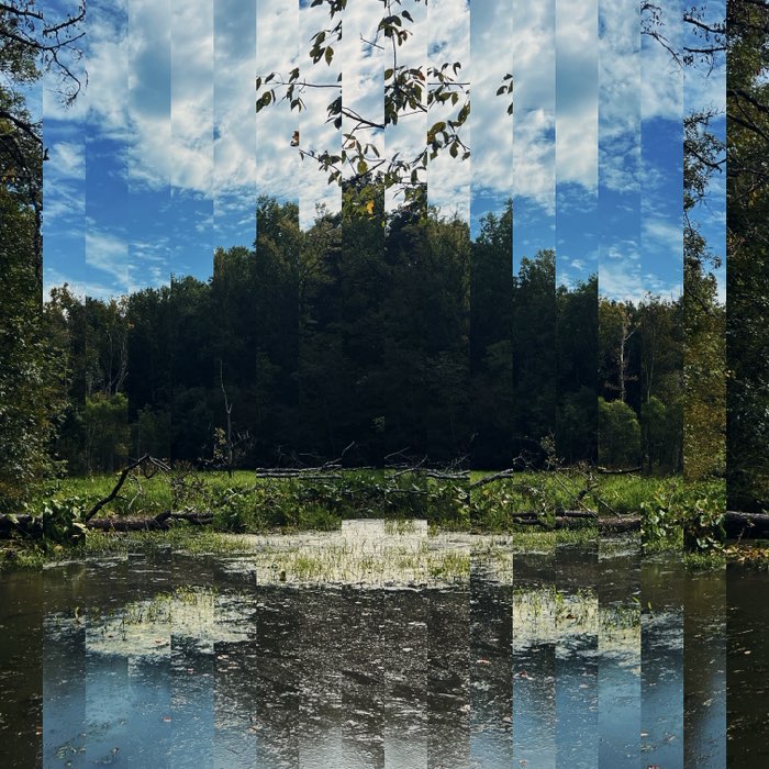 Photograph by @garfinkel, shot with Pablo Mark I + Triple Crown + Djamma
