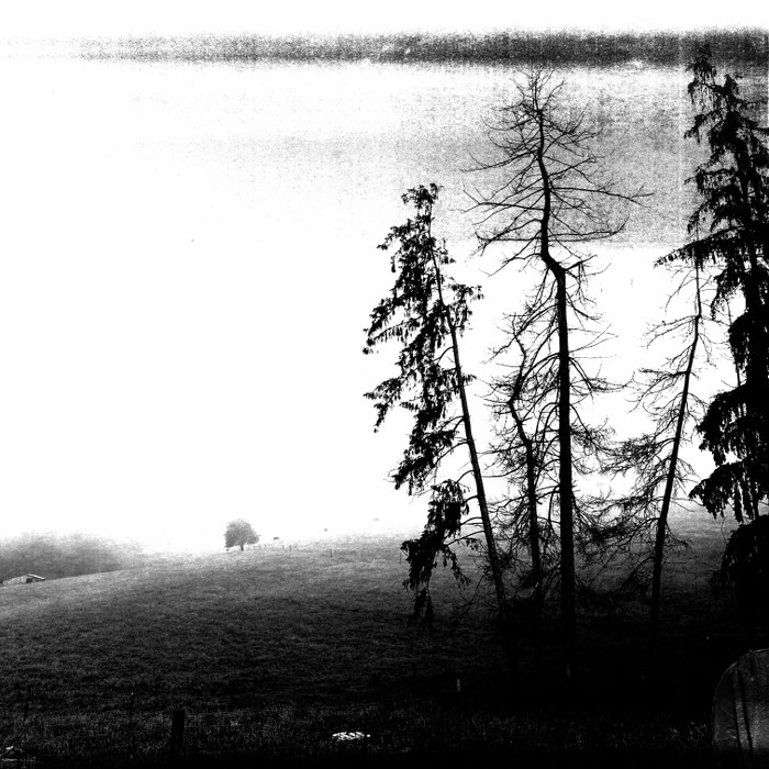Photograph by @WVartish, shot with Carlson C + Laser BW