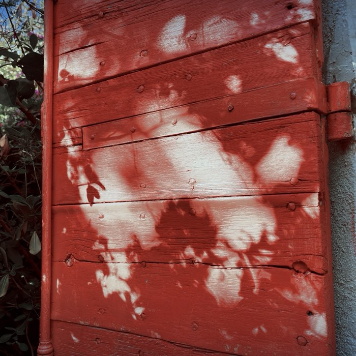Photograph by @Ghjeffu, shot with Changpa + Indus 19