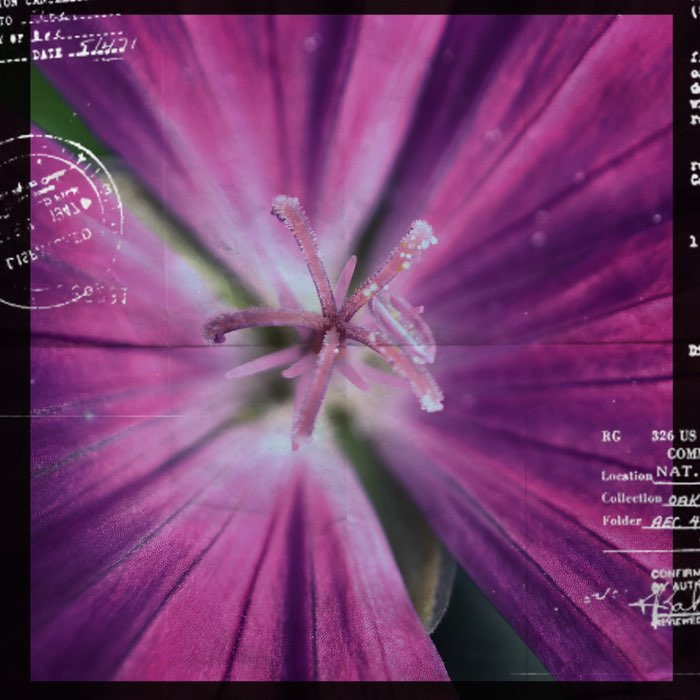 Photograph by @Natalia4746, shot with TICTAC 04
