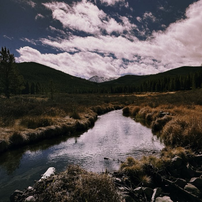 Photograph by @Devon7618, shot with Murray + Tilda