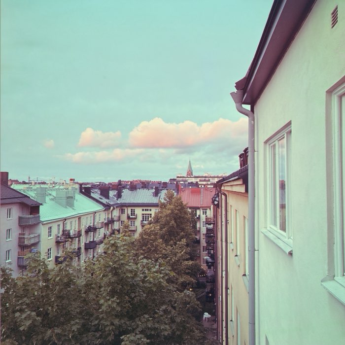 Photograph by @cmcf, shot with Muir + Sequoia