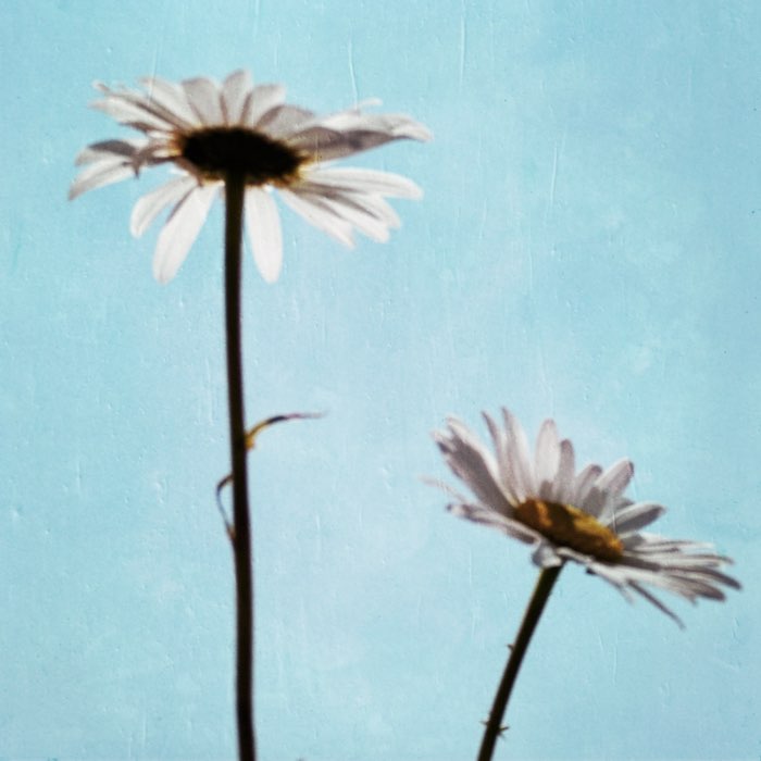 Photograph by @Shane, shot with Müller + Blanko 일
