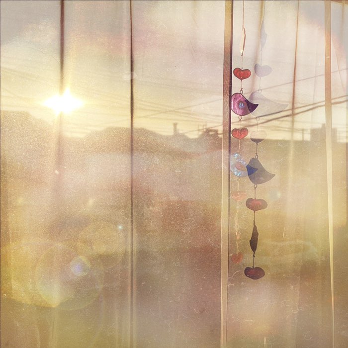 Photograph by @anastasiaSF, shot with Leonard + Bluegrass 14