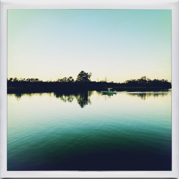 Photograph by @lapetitechoux, shot with Melodie + Triple Crown + Abbot K20