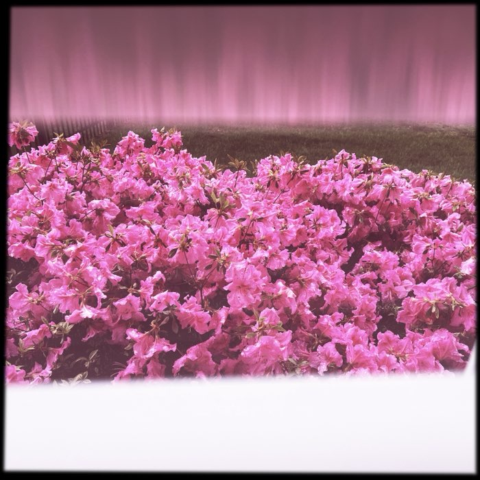Photograph by @KiloHotel, shot with Bruno + Sugar + Purple Raindrops Gel