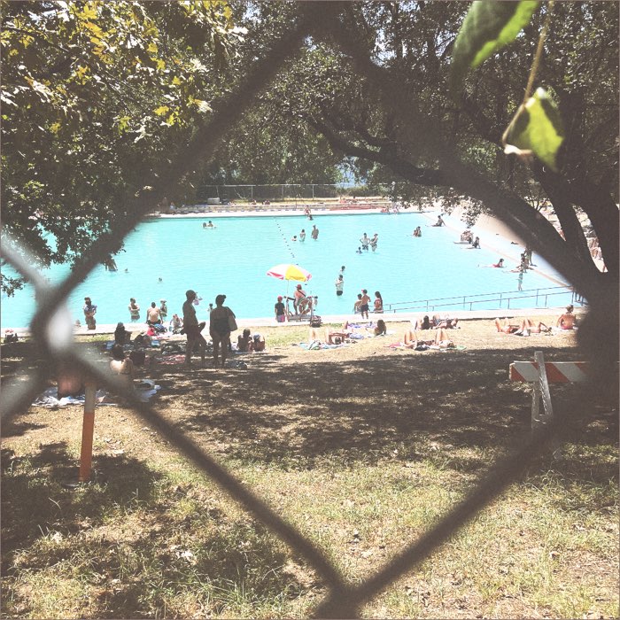 Photograph by @Flannelraccoon, shot with Triple Crown + Bruno + Gotland
