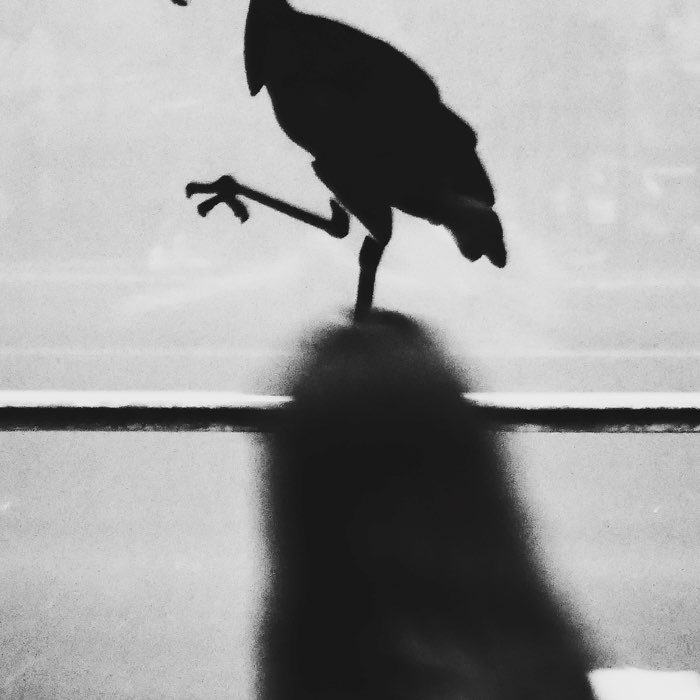 Photograph by @Hamid5841, shot with Florence + BlacKeys XF