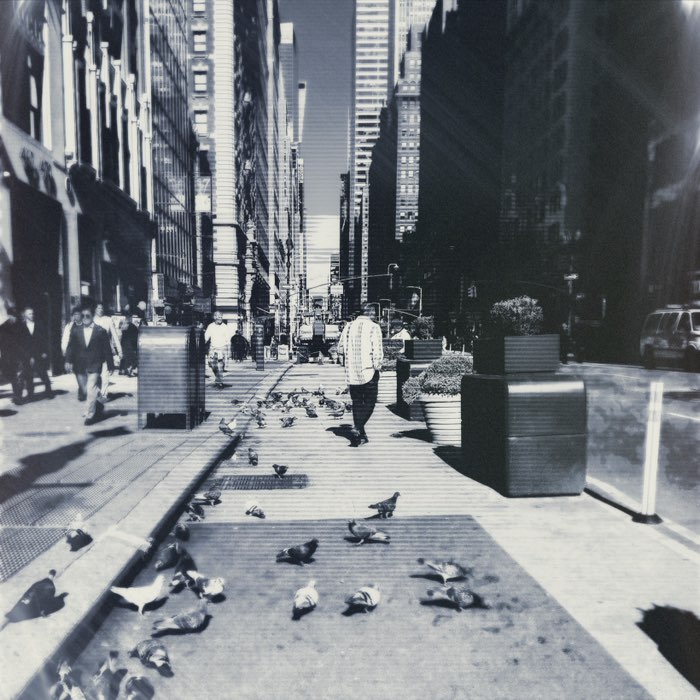 Photograph by @Mphotography, shot with Lumière + Yuanzi 12 + T. Roosevelt 26