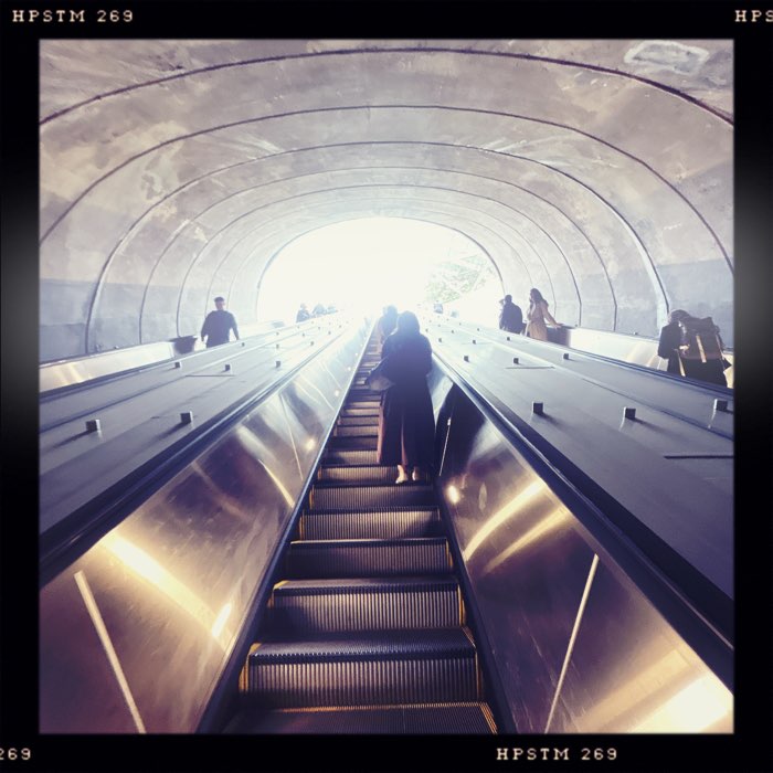 Photograph by @MATTHEW4393, shot with Helga Viking + Pistil + RedEye Gel