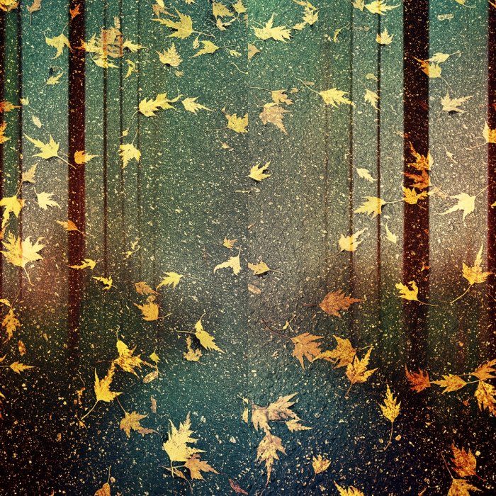Photograph by @Villetpni2604, shot with McMinnville + Libros