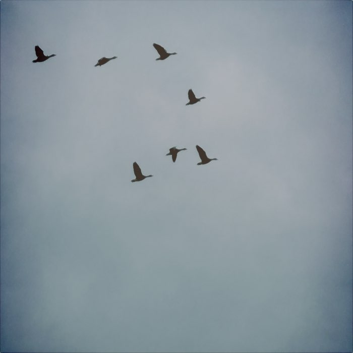 Photograph by @Lajos79, shot with Kaimal Mark III + Pearl