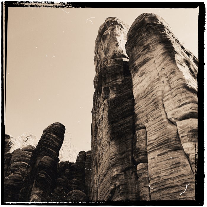 Photograph by @AnkPowers, shot with Lowy + Browny’s Blonde 22 + Triple Crown