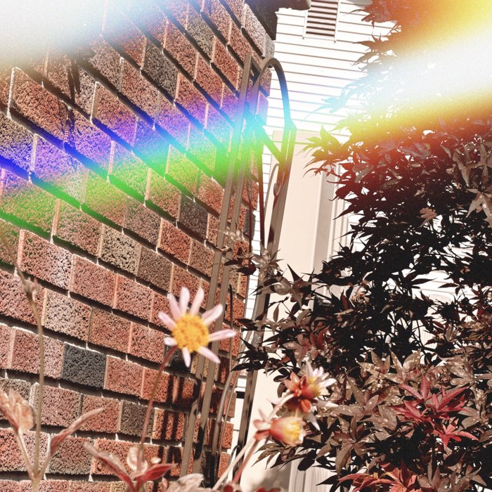 Photograph by @laveau, shot with Plymouth + Sun 55