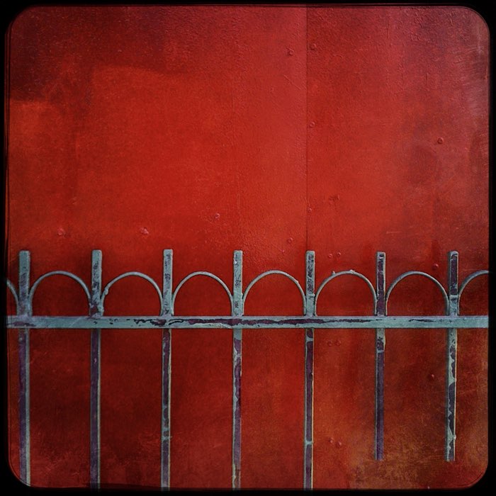 Photograph by @Birdie, shot with Love 81 + Lofton