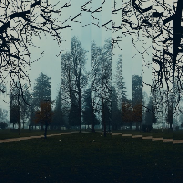 Photograph by @Angela2333, shot with Pablo Mark I + Triple Crown + Djamma