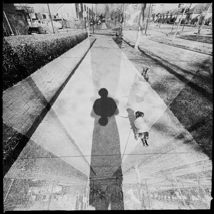 Photograph by @Pauline, shot with Salvador 84 + US1776