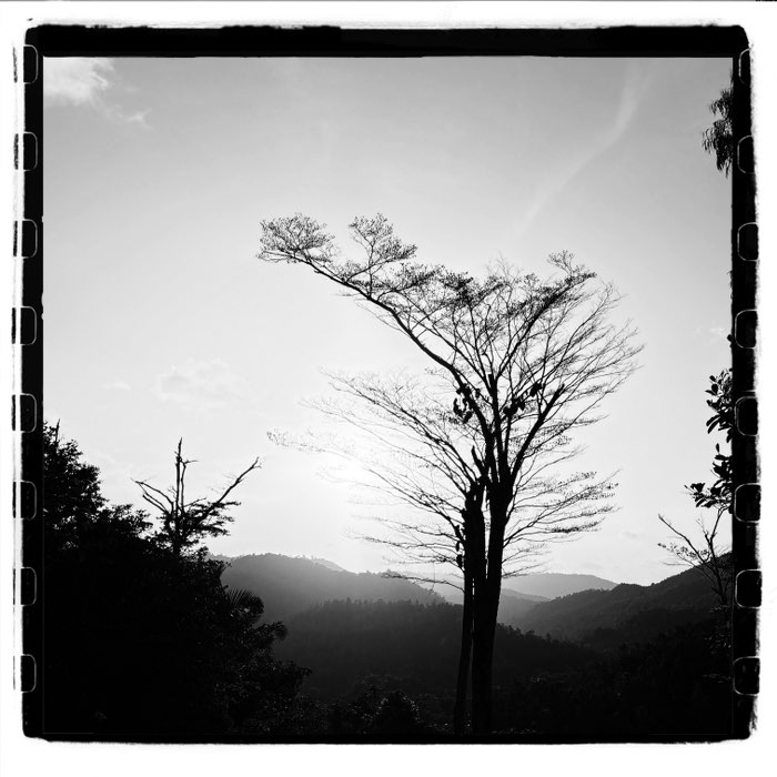 Photograph by @Nieves