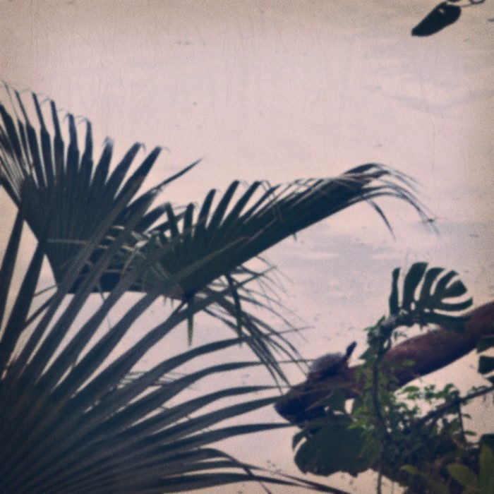 Photograph by @ElaineP, shot with Tejas + La Seine