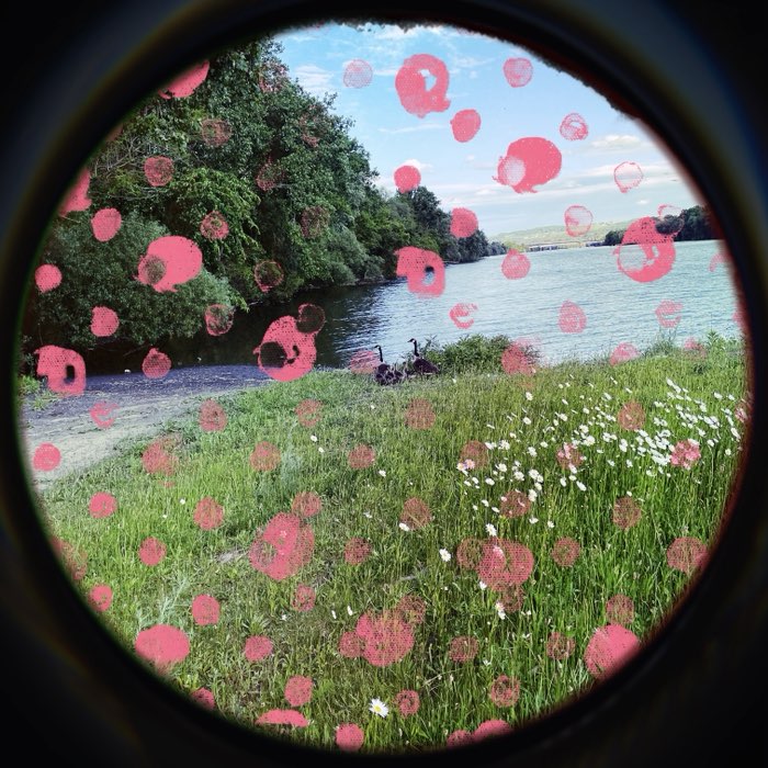 Photograph by @AceAsia0955, shot with Bexar 23 + Aatto + Porthole SN92