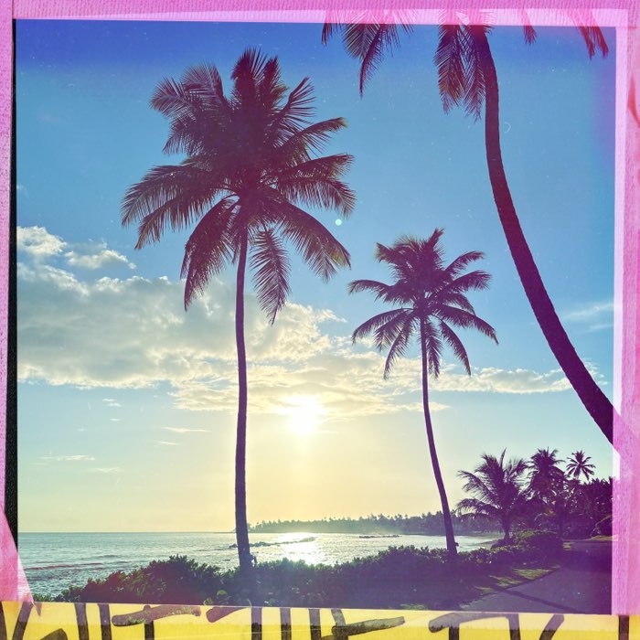 Photograph by @rolo, shot with Bettie XL + Apollo + Big Up
