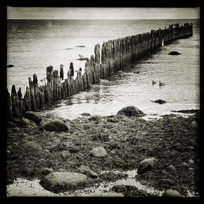 Photograph by @best, shot with John S + Claunch 72