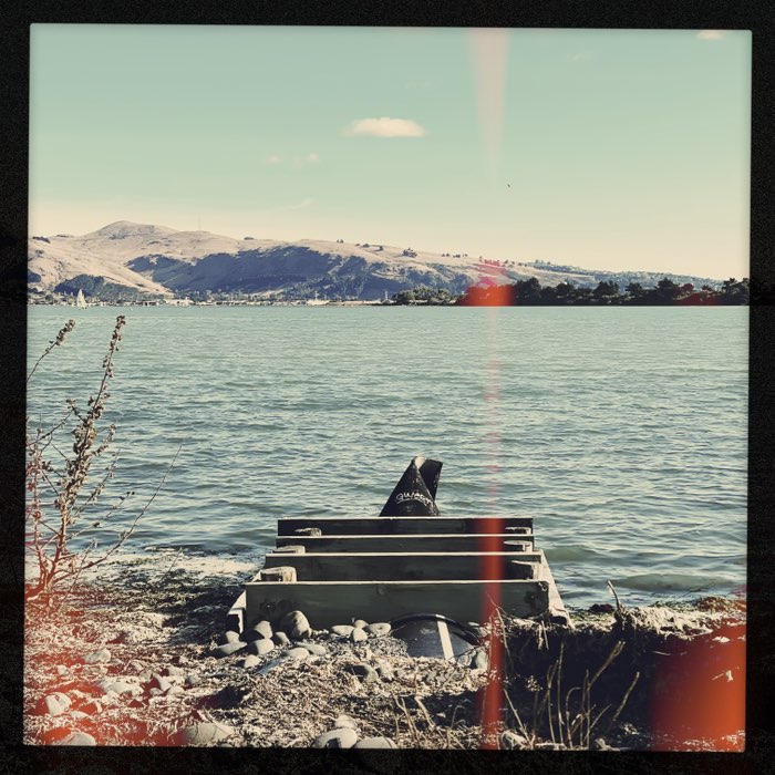 Photograph by @Josiah, shot with Florence + Lite