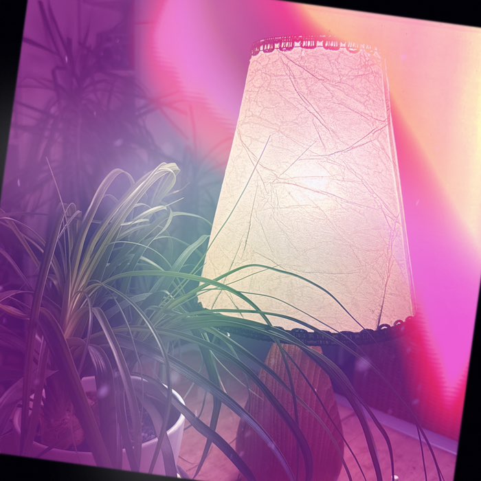 Photograph by @Marita6214, shot with Kitschy Richy + Pistil + Berry Pop