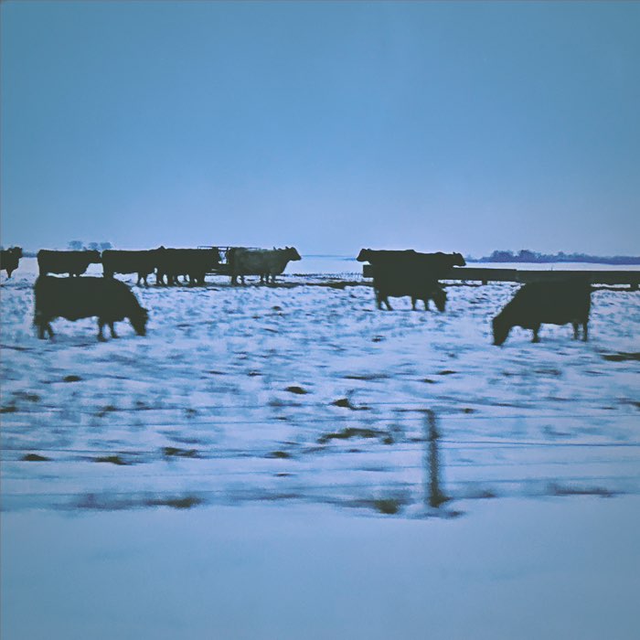Photograph by @heymicki, shot with Jack London + Telegraph