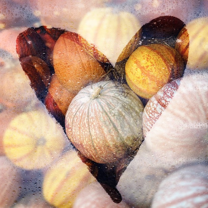Photograph by @Tanja7961, shot with Jill Frost + 12 Apostles