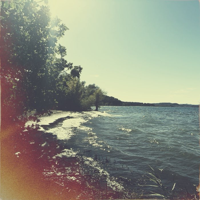 Photograph by @Katerchen, shot with Mabel + Dixie