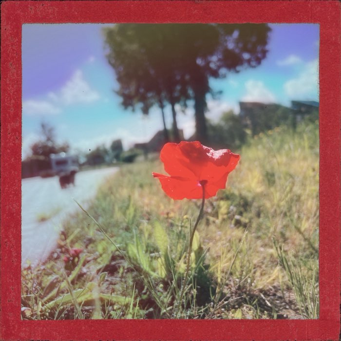 Photograph by @Pauline, shot with Tsundoku 1902 + Komorebi + Sabor