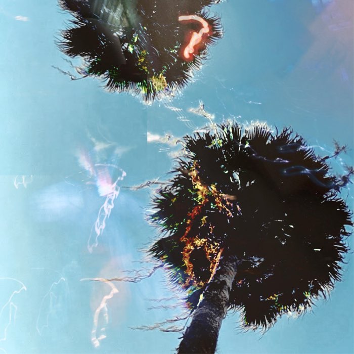 Photograph by @AmateurMistakes, shot with Carmen 85 + Acme LT