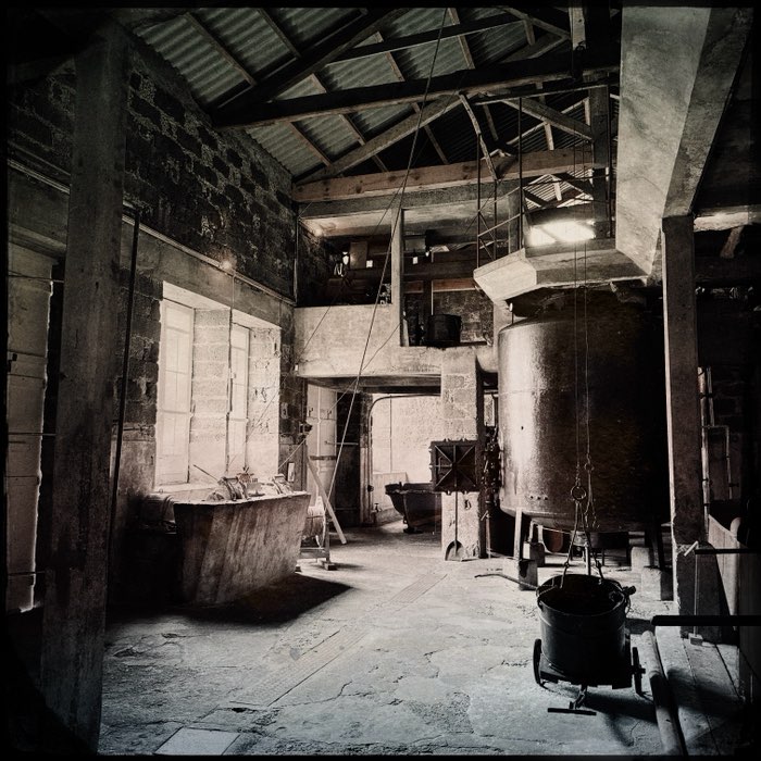Photograph by @tazmpictures, shot with Søren KG + C-Type Plate + Lighthouse 72