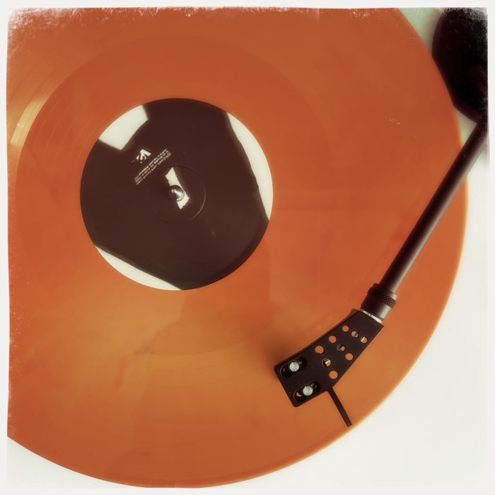Photograph by @LordQuercia, shot with Dreamy + Dreampop + Kuma
