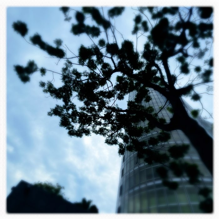 Photograph by @cpkTaipei, shot with Tinto 1884 + Apollo + Ina's 1935