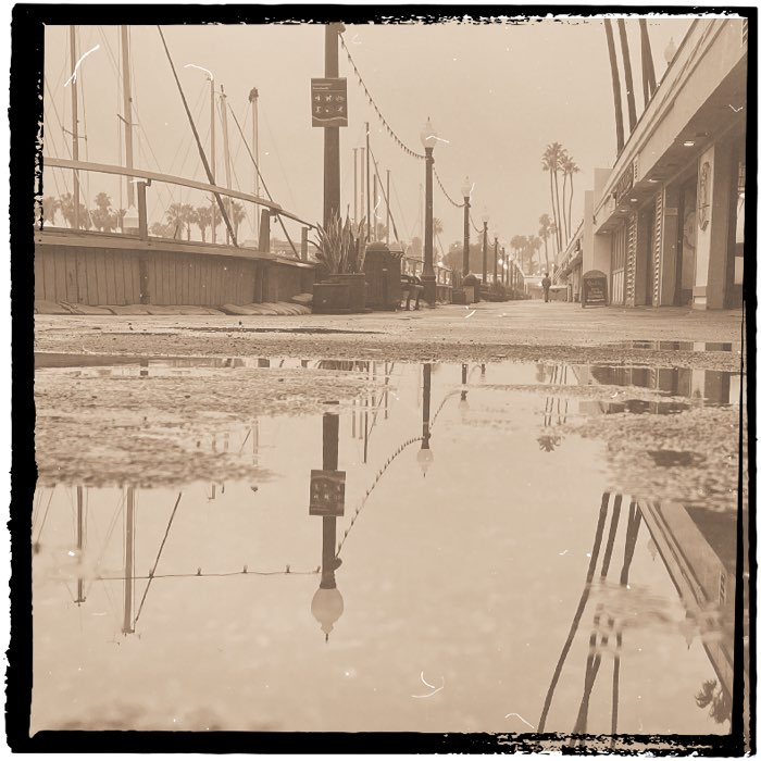 Photograph by @ehren, shot with Gregory + Cherry Shine + Browny’s Blonde 22