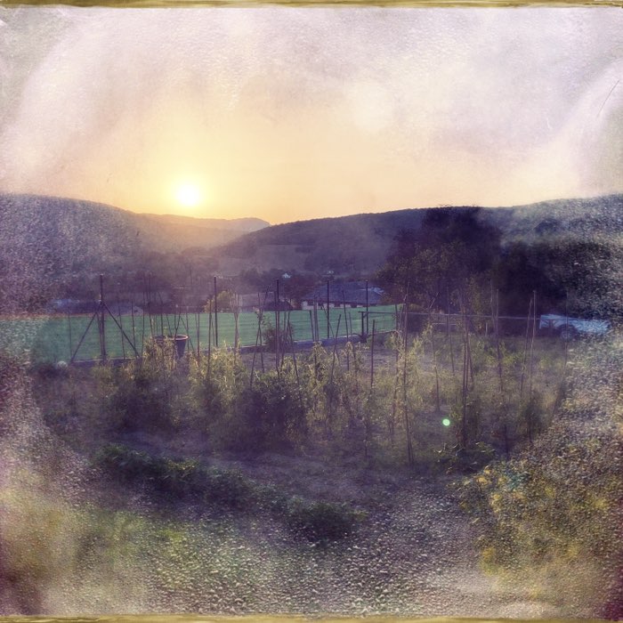 Photograph by @Bianca2307, shot with Frosty + Stand Up
